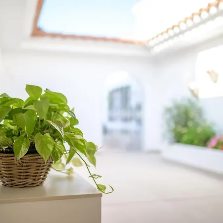 Ponti A5 By Book Menorca *